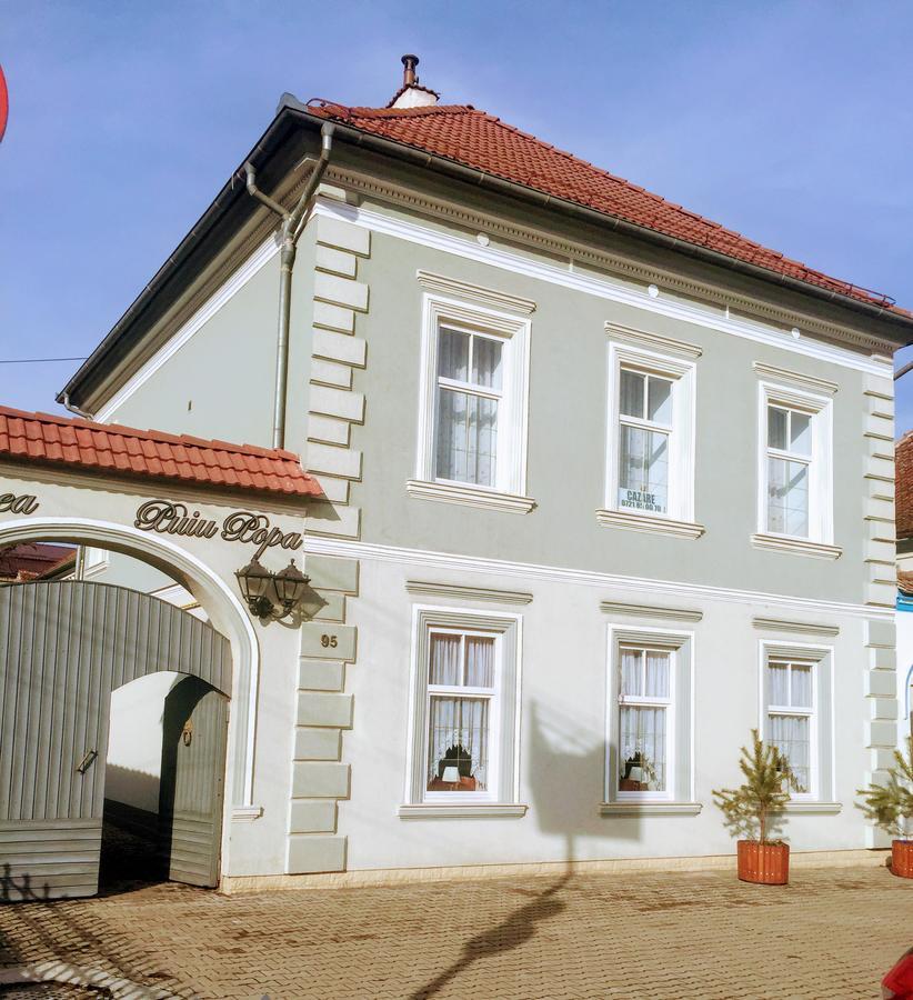 Pensiunea Puiu Popa Codlea Buitenkant foto